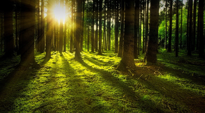 Pozemkové spoločenstvo Spišská Stará Ves - pozvánka na valné zhromaždenie