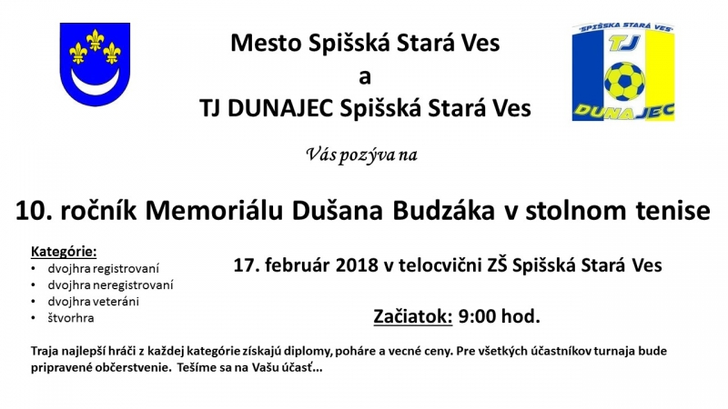 201802101551340.tenis