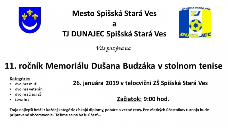 201901180740400.tenis