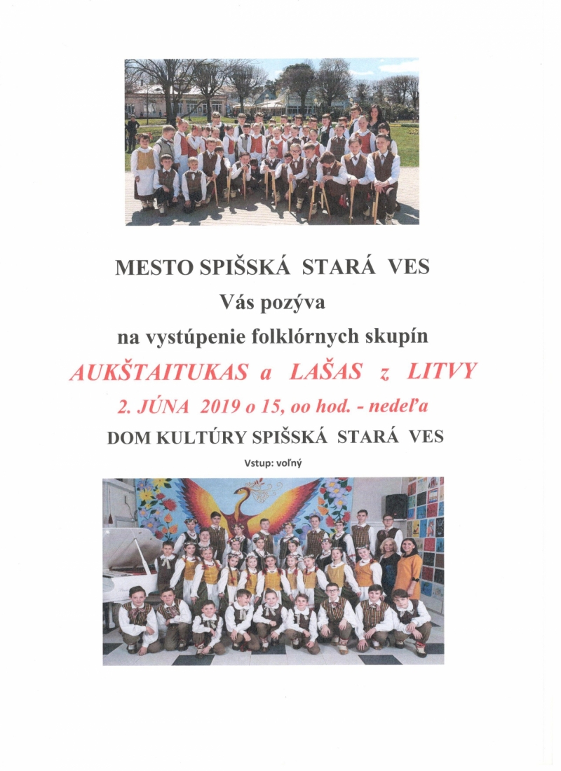 201905231428530.plagat-fs-litva