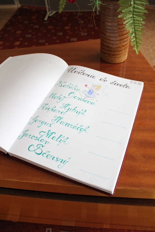 201610250810240.img-4848