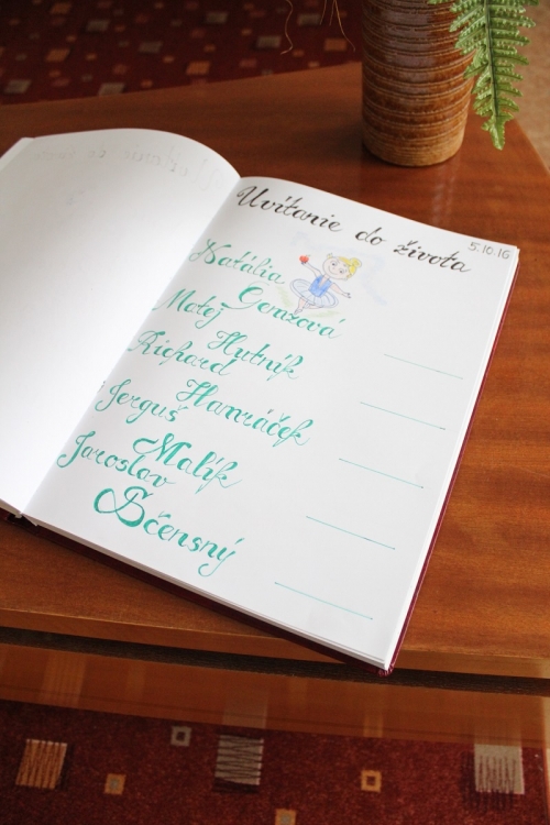 201610250810240.img-4849