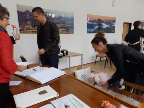 201710131021350.pa053018