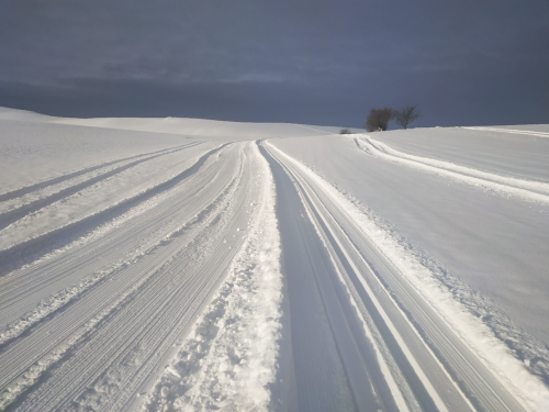 201901081053350.img-20190108-090521