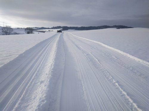 201901081053520.img-20190108-090655