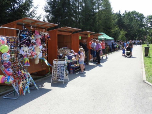 201908010832050.jarmok