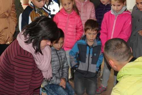 201910081454410.img-5501