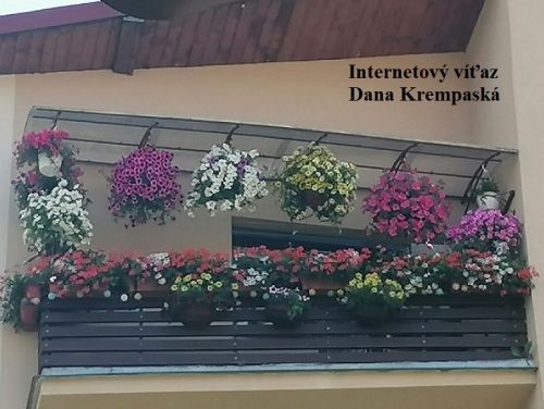 Súťaž Najkrajší kvetinový balkón a predzáhradka