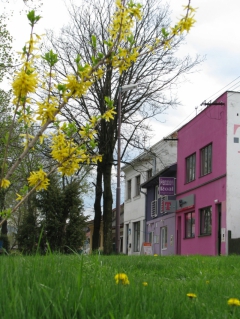 Foto mesta