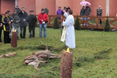 Poľovnícke dni 2011