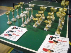 Memoriál D. Budzáka 2012