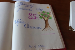 Spoločenské podujatie 20.06.2012 – fotografia 11