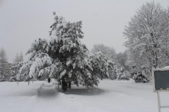 Zima 7.2.2013