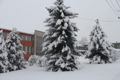Zima 7.2.2013