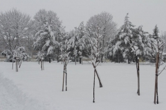 Zima 7.2.2013