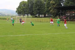 Minifutbal 2013