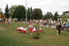 Dni mesta 2013