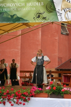 Dni mesta 2013