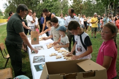 Dni mesta 2013
