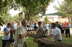 Dni mesta 2013