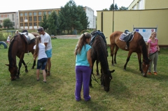 Dni mesta 2013