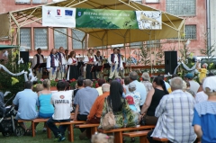 Dni mesta 2013