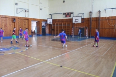 Minifutbal 2014