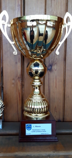 Minifutbalový turnaj 2019