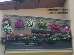 Súťaž Najkrajší kvetinový balkón a predzáhradka