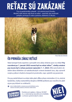 Reťaze sú zakázané pre všetky psy od 1.1.2024 – fotografia 2