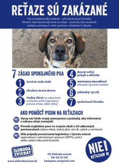 Reťaze sú zakázané pre všetky psy od 1.1.2024 – fotografia 1