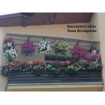 Súťaž Najkrajší kvetinový balkón a predzáhradka